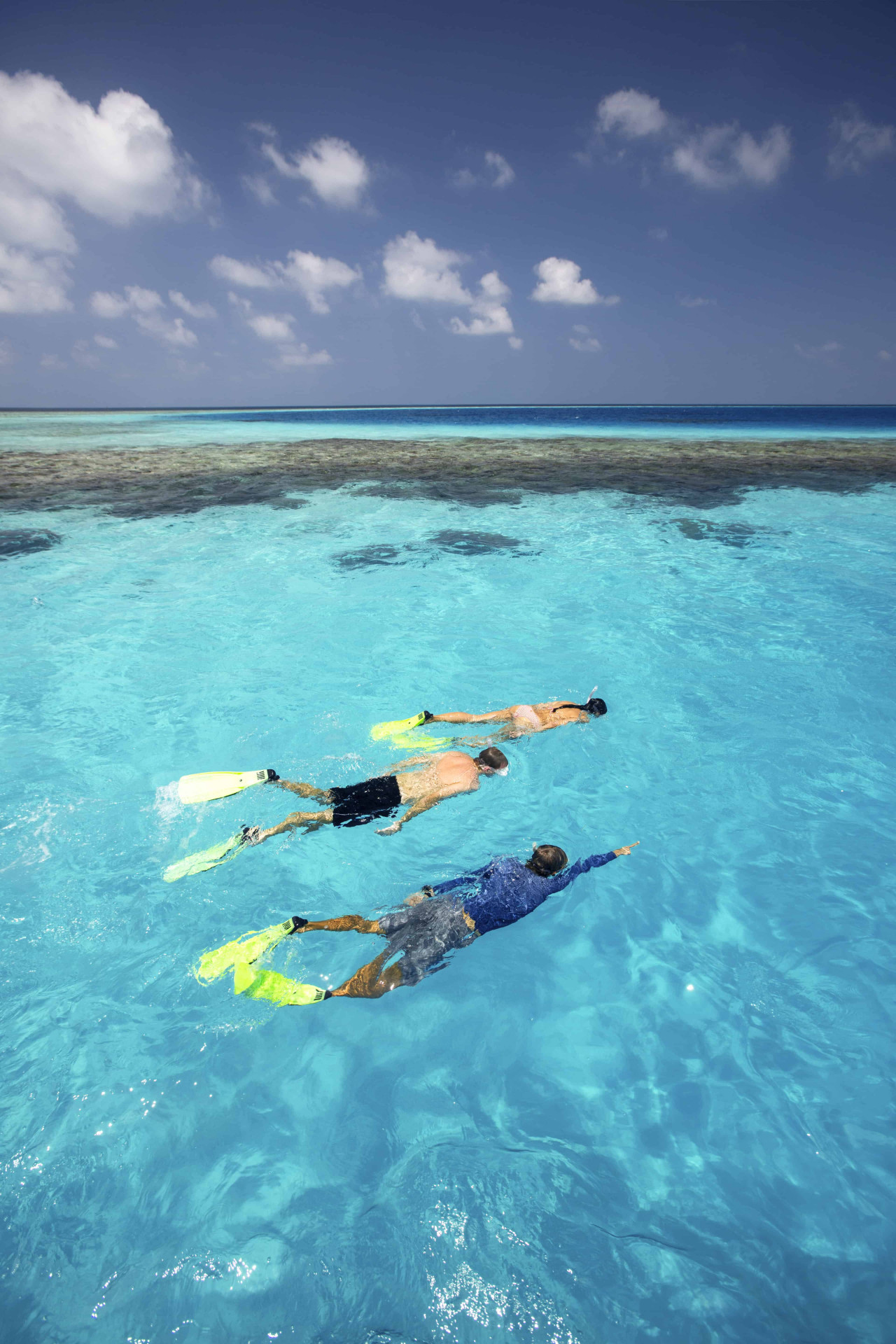 GLM_Snorkelling with Marine Biologist