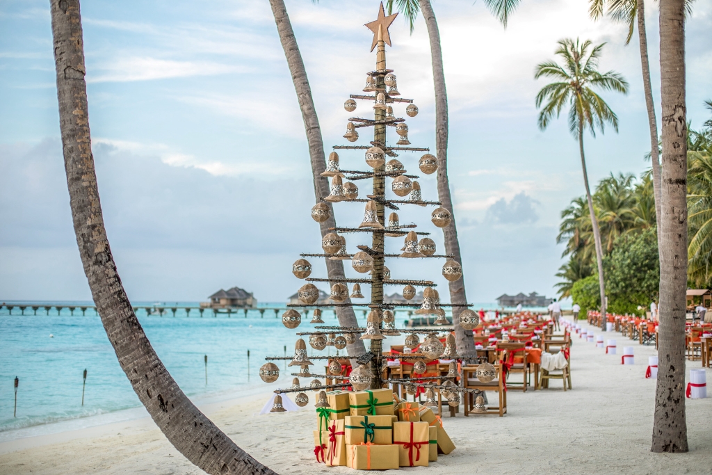 Festive Celebration 2024